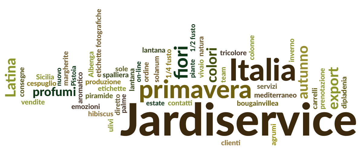 jardiservice-word-cloud-it